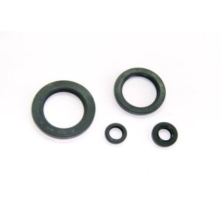 Motorsimmerring-Satz YAM XJ900S, 95-97