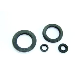 Motorsimmerring-Satz YAM XJ900S ab 98